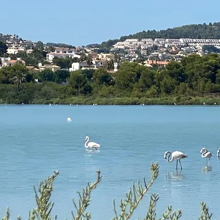 Appartement Timora Sea View New Apart' Hipocampos